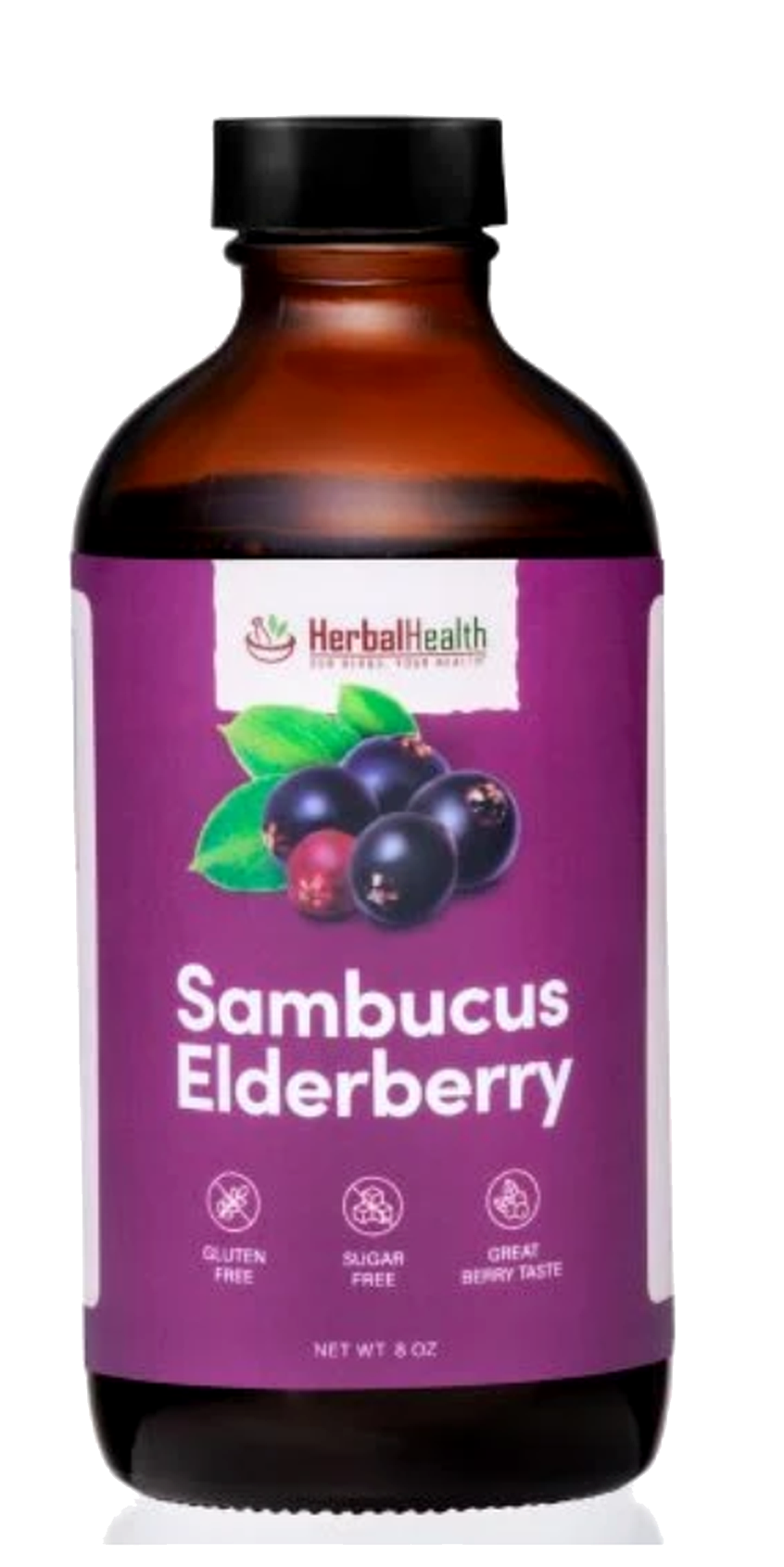 Sambucus Elderberry